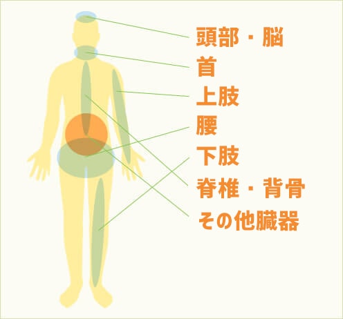 人体図