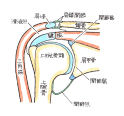 ポイント４図１.gifのサムネール画像のサムネール画像のサムネール画像