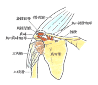 ポイント６図１.gifのサムネール画像のサムネール画像のサムネール画像