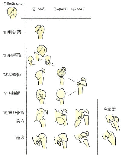 ポイント12図２.png