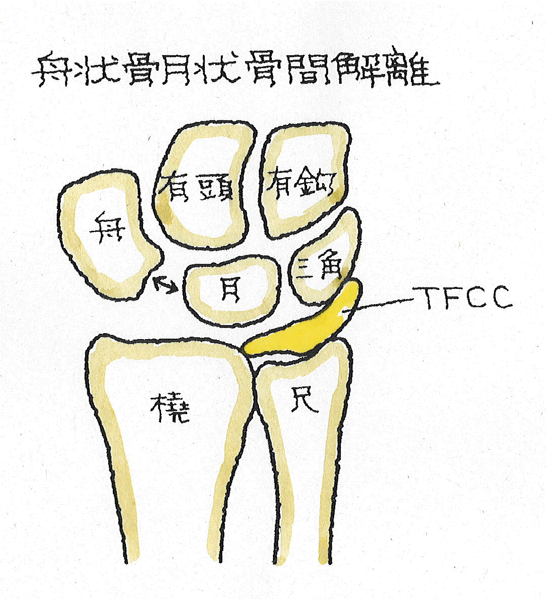 ポイント19.gif