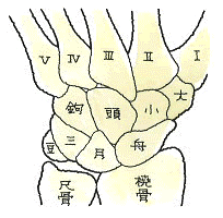 ポイント22図１.png