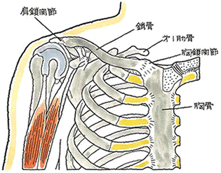 ポイント5図１.gif