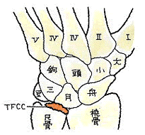 ＴＦＣＣ　２.gif