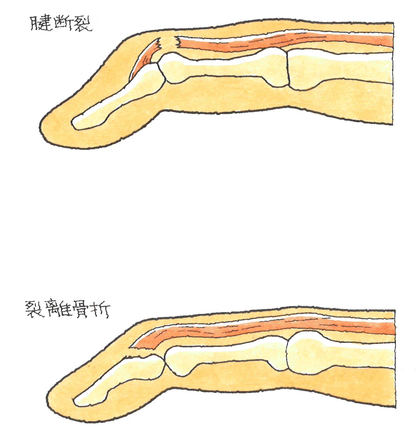 つきゆび②.gif