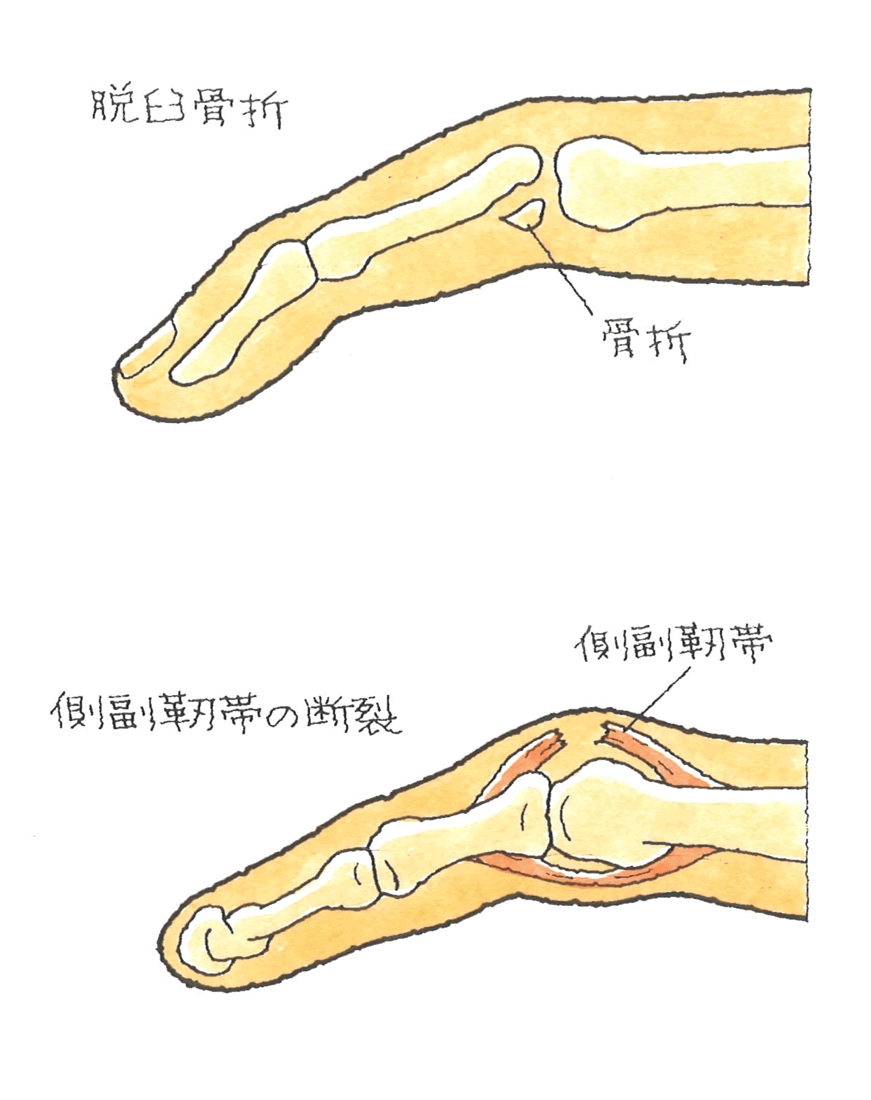 つきゆび③.gif