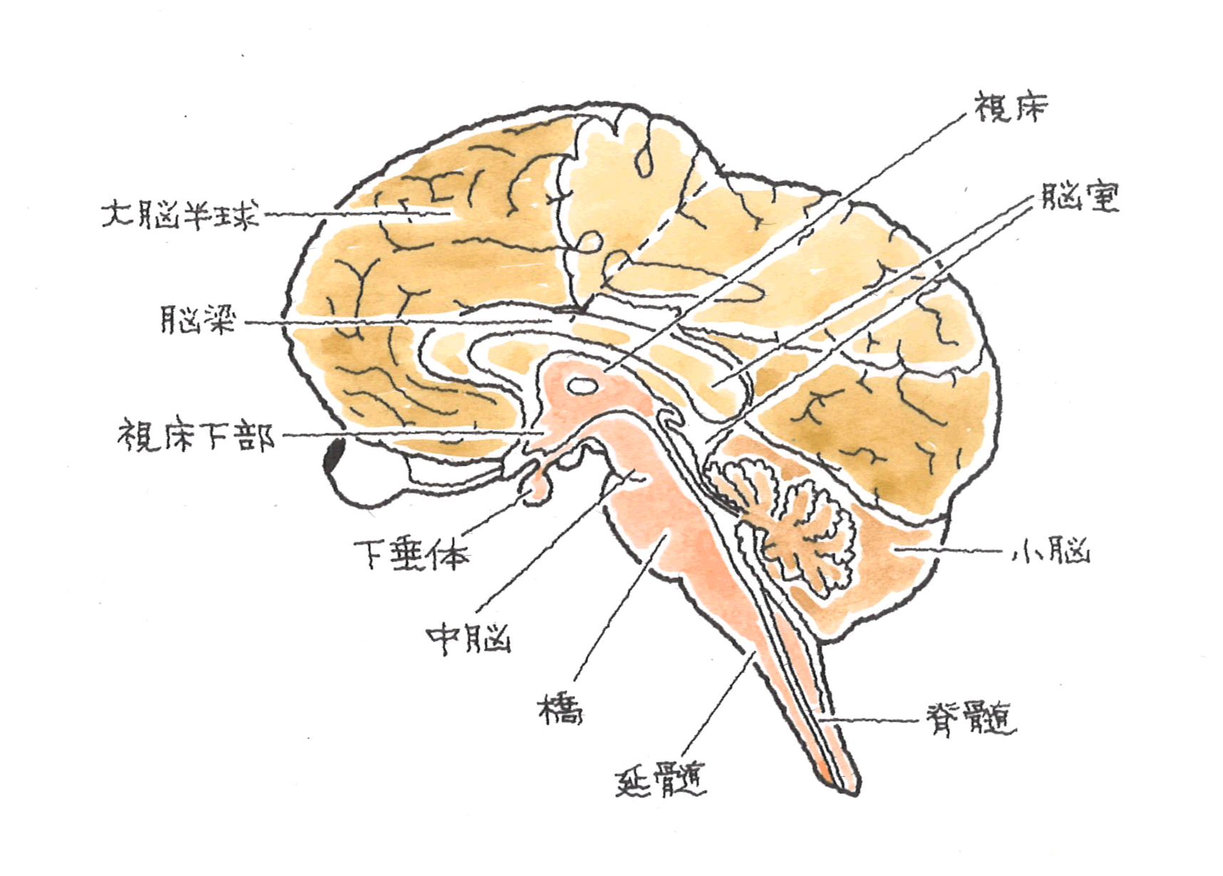 ポイント24-4.gif