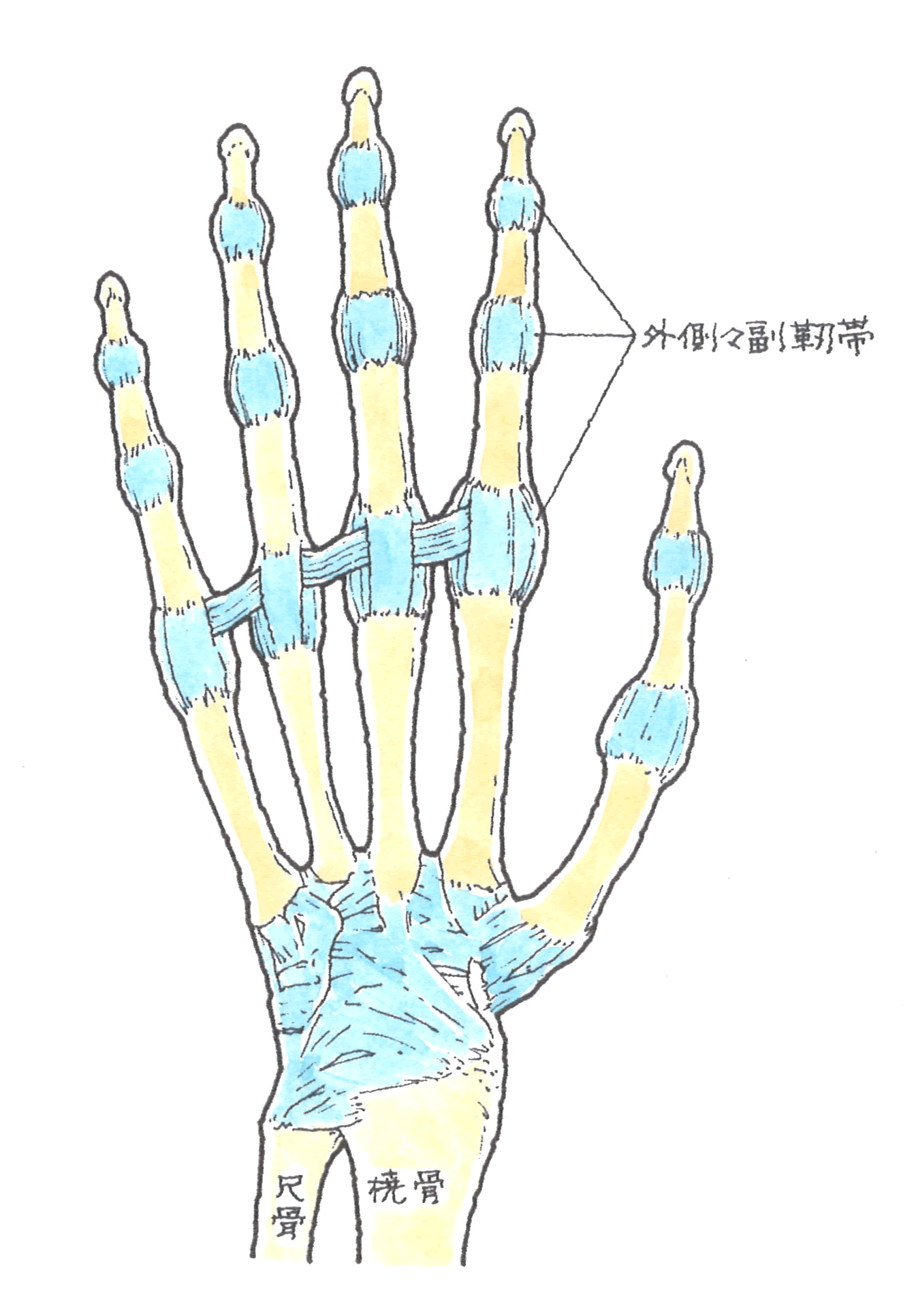 ポイント39-2.gif