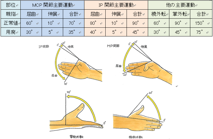 ポイント51図２.png