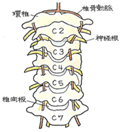 ポイント２図１.gif