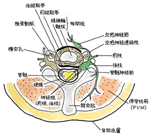 ポイント３図１.gif