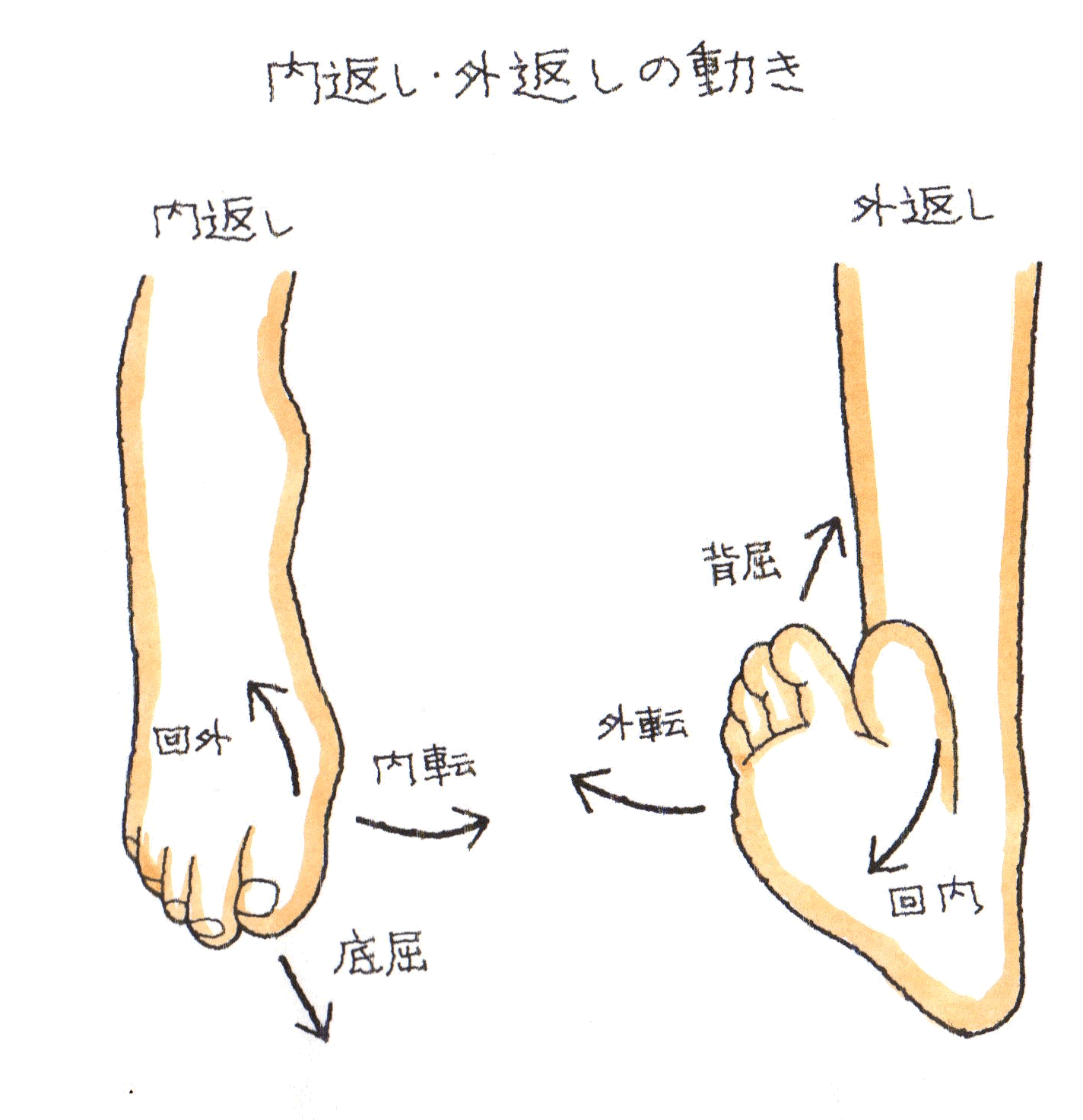 内返し、外返し.gif