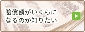 賠償金額がいくらになるのか知りたい